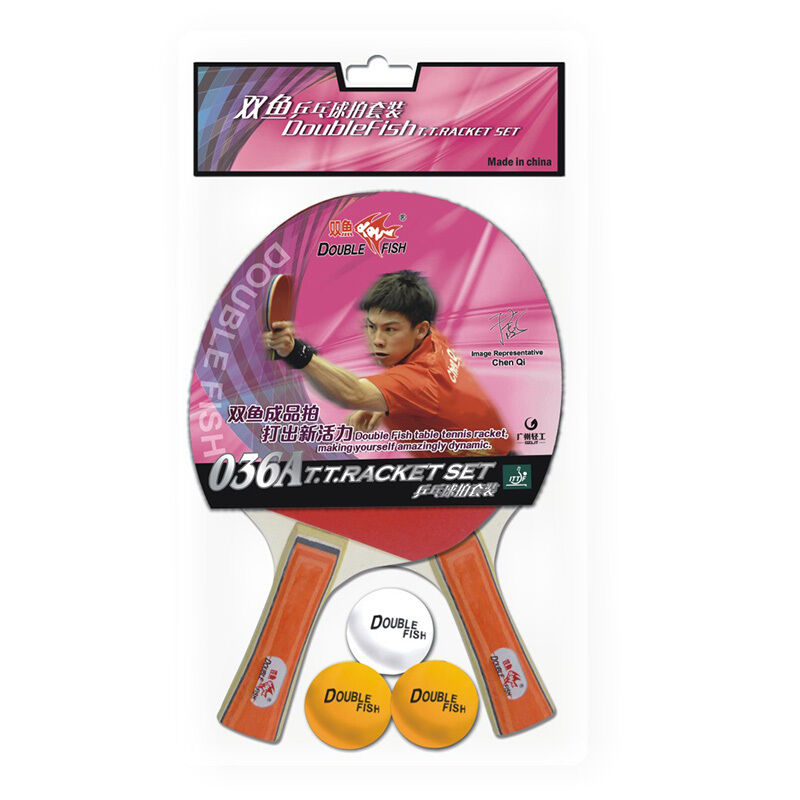 Xu Shao Fa 25mm Table Tennis Table Ping Pong Table - PROFESSIONAL SIZE