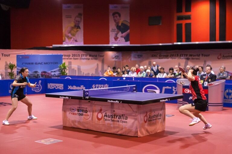 Xu Shao Fa 25mm Table Tennis Table Ping Pong Table - PROFESSIONAL SIZE