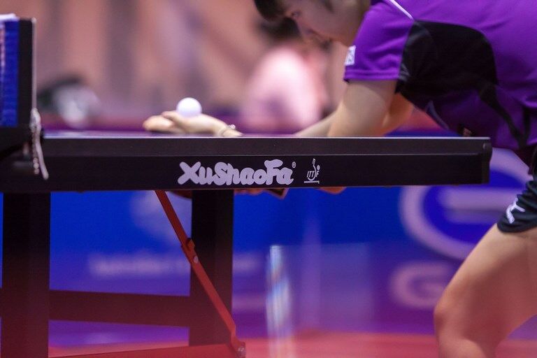 Xu Shao Fa 25mm Table Tennis Table Ping Pong Table - PROFESSIONAL SIZE