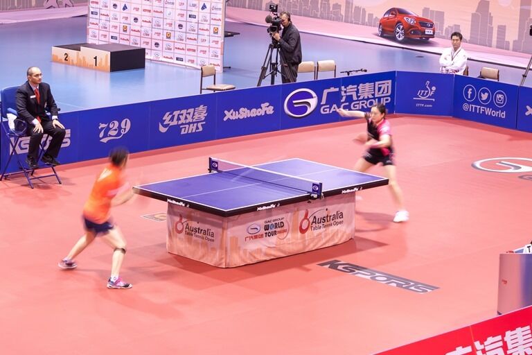 Xu Shao Fa 25mm Table Tennis Table Ping Pong Table - PROFESSIONAL SIZE